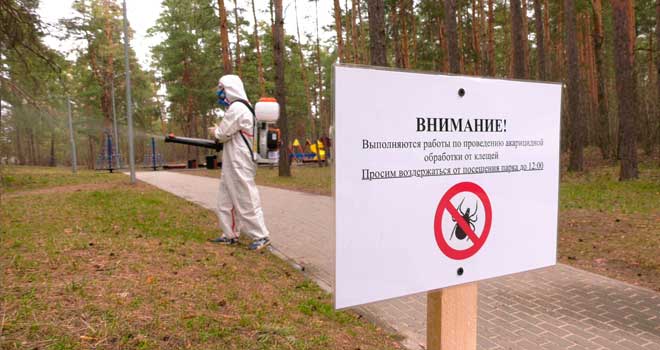 Попробуй укуси! Более 65 гектаров общественных пространств Дзержинска обработают от клещей и комаров