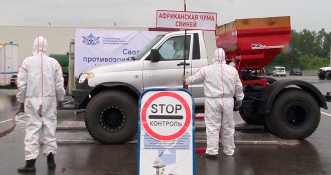 Отработка навыков: ветеринарные учения по ликвидации очага АЧС прошли в Доскино