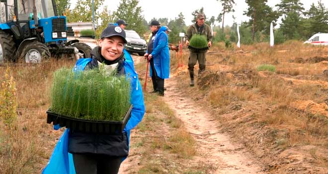 Возродим лес вместе: несколько тысяч сеянцев сосны высадили в Дзержинске