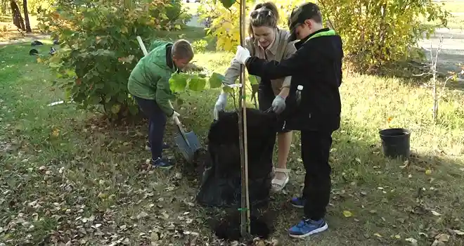 Зеленый десант: акция по высадке деревьев прошла в Дзержинске