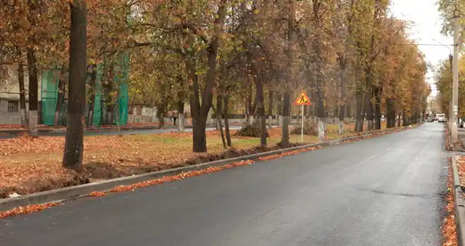 Слои асфальта и газон: на двух улицах Дзержинска продолжается ремонт дорог