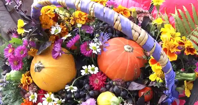 Растим в Дзержинске: ярмарка-конкурс садоводов и огородников прошла на Парковой аллее в минувшие выходные