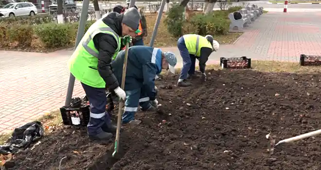 Цветы и память: красные тюльпаны высадили у Вечного огня в Дзержинске