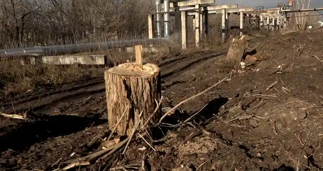 Началось движение: строительство объездной дороги поселка Дачный в Дзержинске вступает в активную фазу