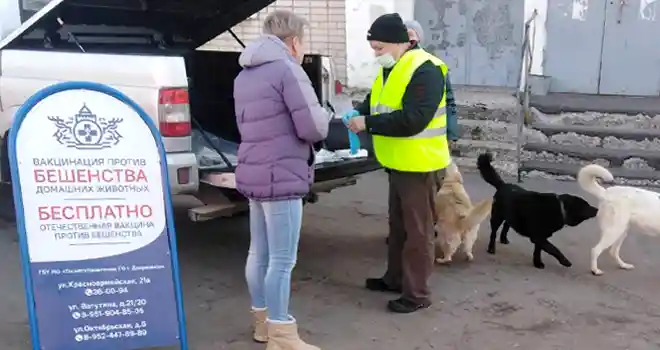 С заботой о любимцах: дзержинцы могут бесплатно вакцинировать своих питомцев против бешенства