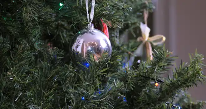 Дзержинск сегодня: полная версия выпуска 22.12.2023