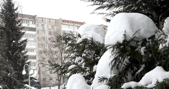 Дзержинск сегодня: полная версия выпуска 16.02.2024