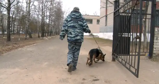 Ложная тревога: эвакуация прошла в дзержинской школе из-за предупреждения о минировании