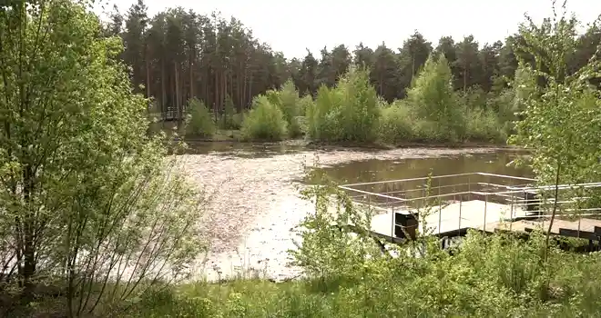 Дзержинск сегодня: полная версия выпуска 16.05.2024