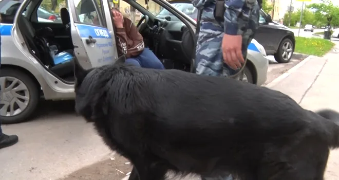 Езда под кайфом: автомобиль с неадекватным водителем остановили дзержинские полицейские