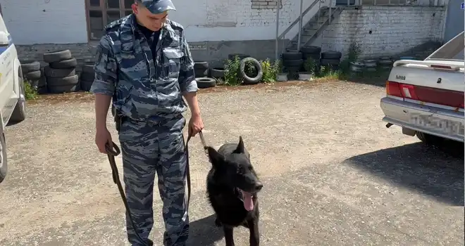 Езда под кайфом: водителя в наркотическом опьянении задержали полицейские в Дзержинске