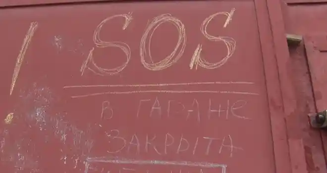 В западне: запертому в дзержинском гараже коту не удается помочь