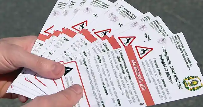 Смотри в оба: жителям Дзержинска напомнили об опасности ДТП с участием диких животных