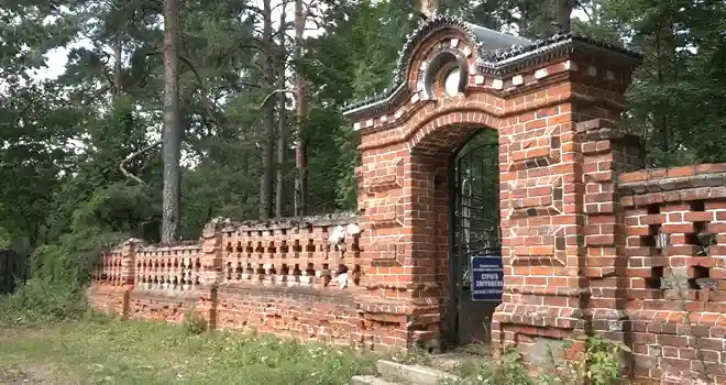 Дзержинск сегодня: полная версия выпуска 07.08.2024