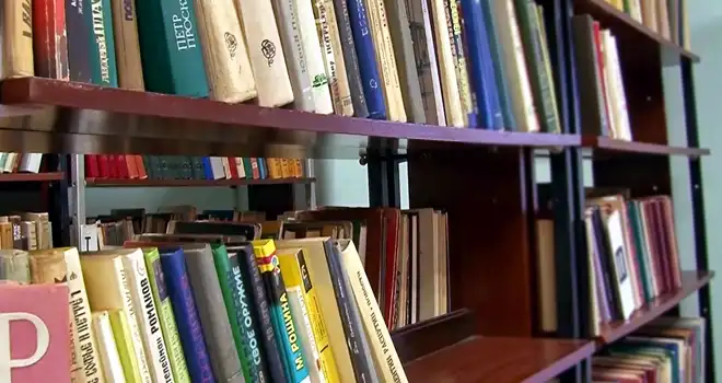 «Артур и его команда», «Тарас и Бульба»: какие произведения ищут дзержинцы в городских библиотеках