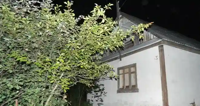 Рассадники сорняков: дзержинцы могут лишиться своих заброшенных земельных участков