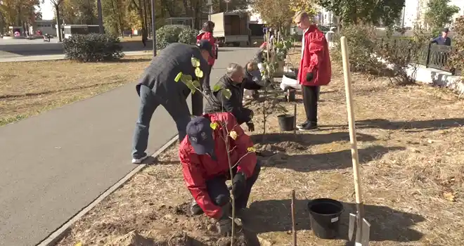 Есть такая традиция: липовую аллею высадили депутаты в центральном парке Дзержинска