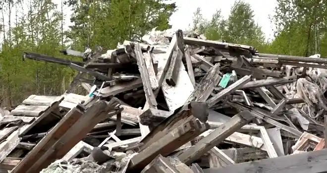 Развитие дендрария, посадка деревьев и незаконные свалки: депутаты Гордумы Дзержинска обсудили вопросы экологии