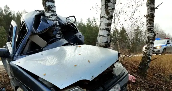 Опасный поворот: столкновением с березой закончилась поездка для молодого водителя в Дзержинске