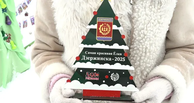 Хвойные красавицы: фестиваль-конкурс самых красивых новогодних ёлок прошел в Дзержинске