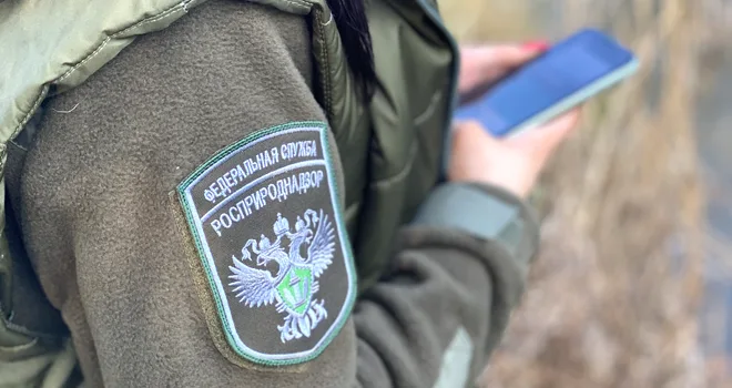 Не вози как попало: нижегородская компания оштрафована за неправильную перевозку отходов в Дзержинске