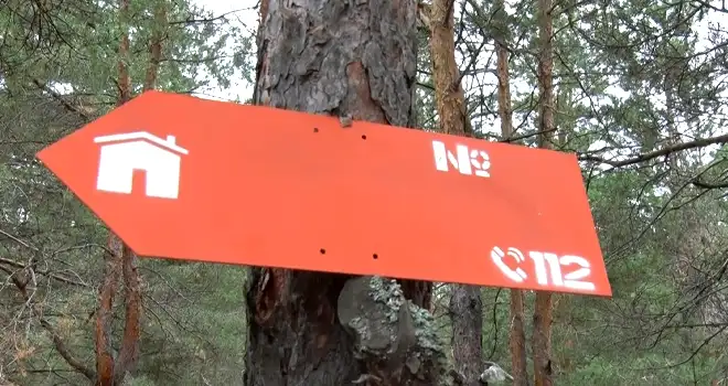 Остаться в живых: как не потеряться в лесу рассказали дзержинцам