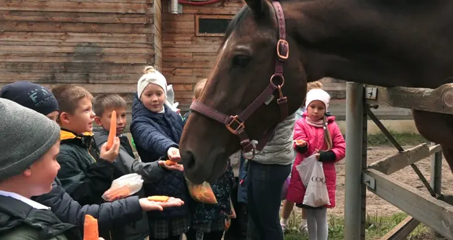 Урок добра: третьеклассники дзержинской школы побывали с экскурсией в конно-спортивном комплексе