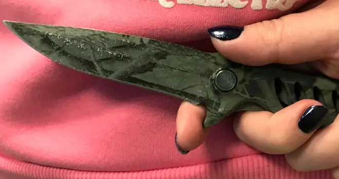 Серьги раздора: в Дзержинске пьяная женщина ограбила мать и угрожала ножом родному сыну