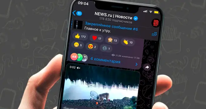 Умная волчица, железный дед и съедобные созвездия: очередной выпуск рубрики «Вам телеграм» от ТК «Дзержинск»