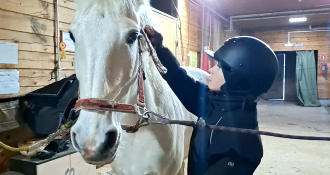 Одним глазком. Символ года. Часть 1