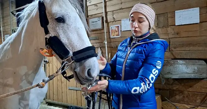 Одним глазком. Символ года. Часть 2