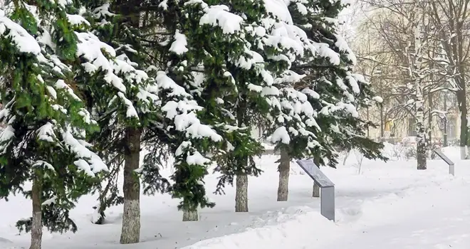 Дзержинск сегодня: полная версия выпуска 21.01.2026