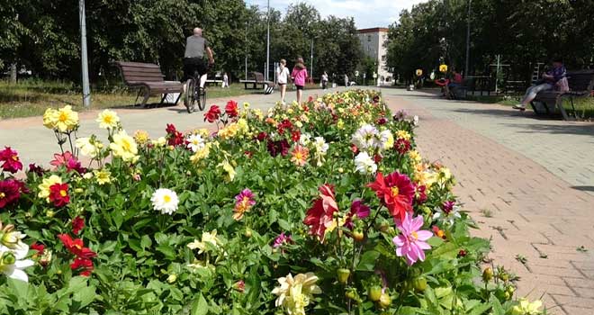 Дзержинск сегодня: полная версия выпуска 14.07.2026